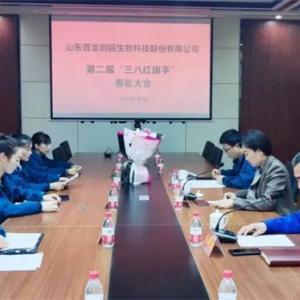 百龍創(chuàng)園召開三八婦女節(jié)表彰大會！