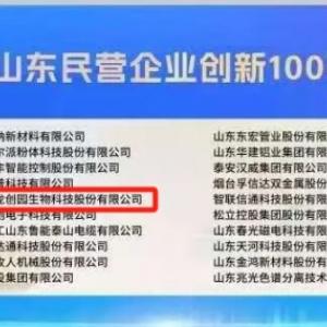喜報(bào)丨百龍創(chuàng)園入選2025山東民營企業(yè)100強(qiáng)