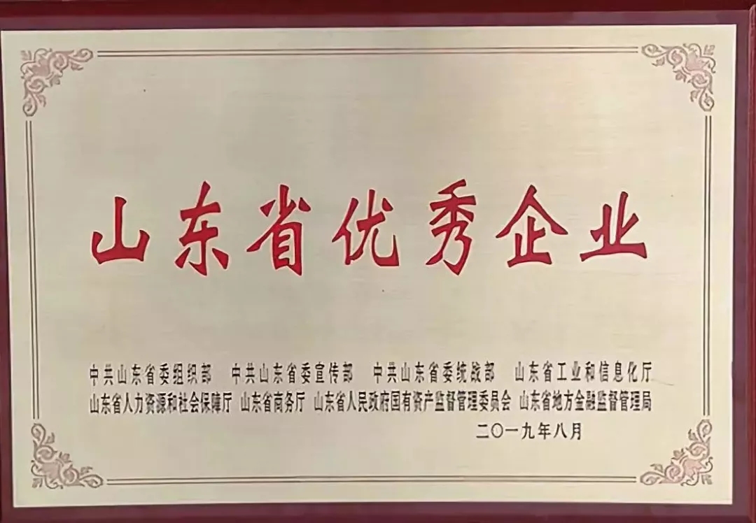 喜報(bào)！百龍創(chuàng)園榮獲“山東省優(yōu)秀企業(yè)”稱(chēng)號(hào)