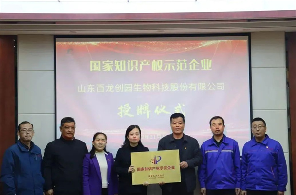 百龍創(chuàng)園舉行國家知識產(chǎn)權(quán)示范企業(yè)授牌儀式