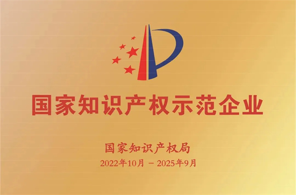 百龍創(chuàng)園被確定為德州市知識產(chǎn)權(quán)保護中心專利預審員實踐基地