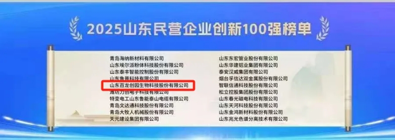 喜報(bào)丨百龍創(chuàng)園入選2025山東民營(yíng)企業(yè)100強(qiáng)