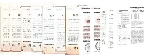 百龍創(chuàng)園：穩(wěn)健前行，開拓甜蜜新賽道